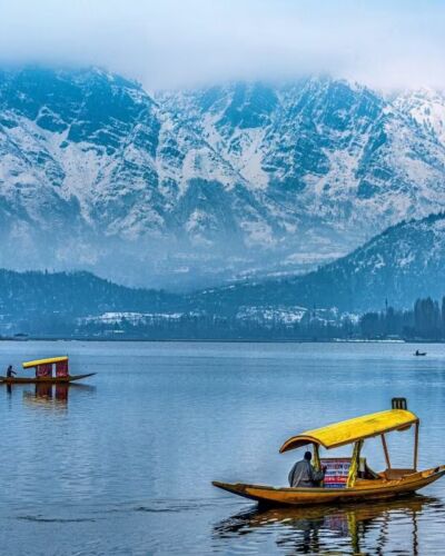 Kashmir in Nederland