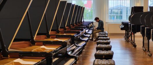 Vleugelselectie Steinway