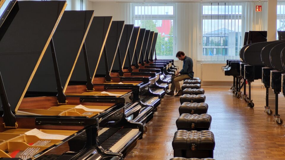 Vleugelselectie Steinway