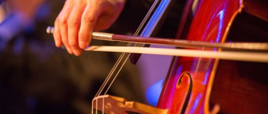 Cursus: Een goed gestemd gehoor