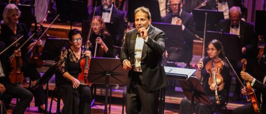 Maestro Jules onthult