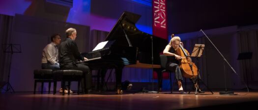 Storioni Trio & ensemble