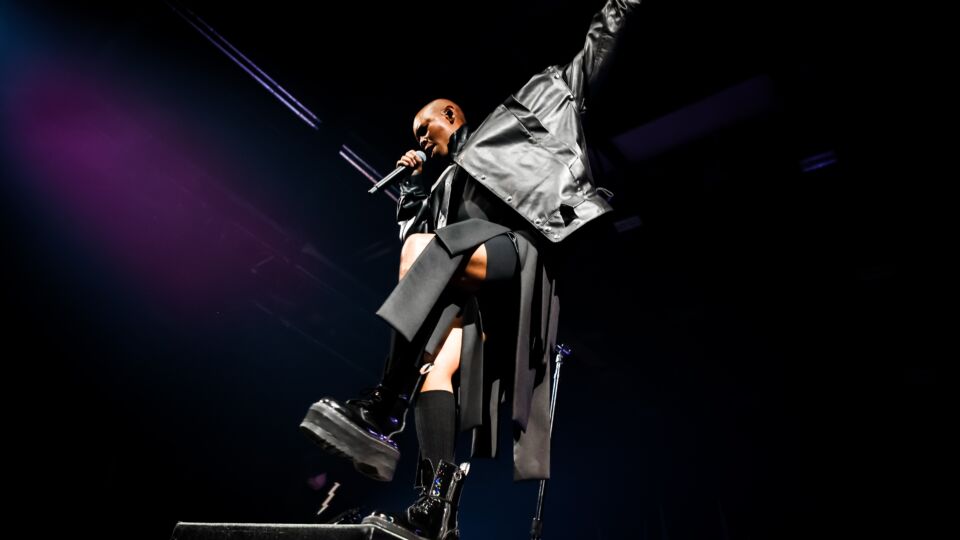 BRIDGE 2026 Skunk Anansie