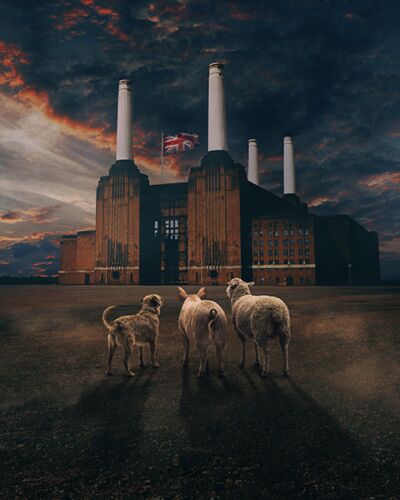 Brit Floyd